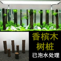 Champagne wood sinking wood stump trunk tree Forest view fish tank landscaping rainforest tank Straight strip No cooking no soaking submerged water natural