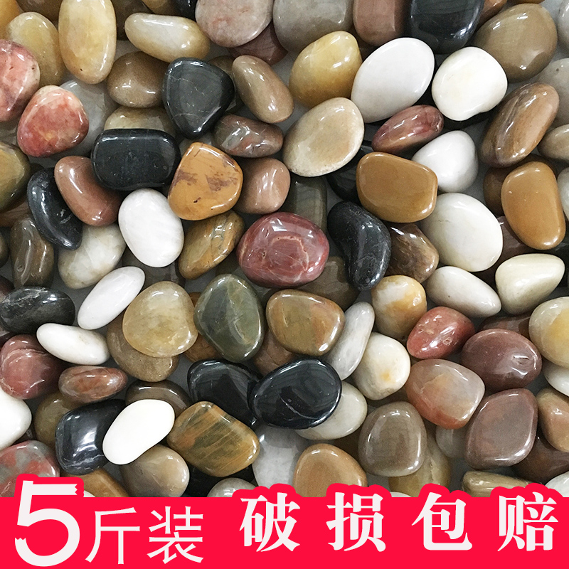 Natural pebbles small stones Stone rain stone rough stone Fish tank flower pot Garden landscaping multicolored stone Goose soft stone