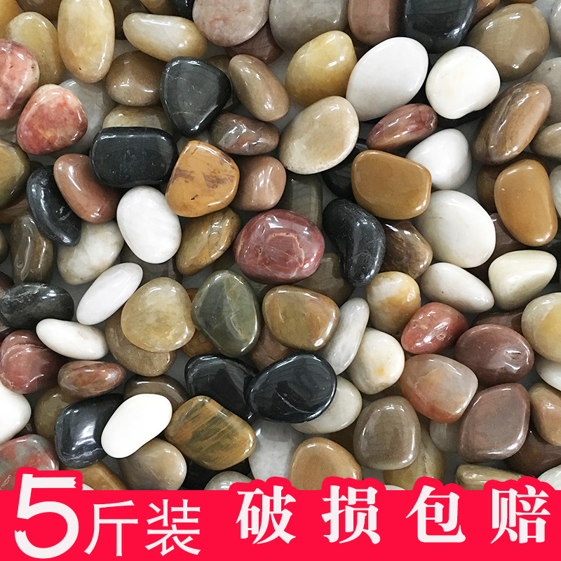 Natural pebble small stone stone rain flower stone rough stone fish tank flower pot garden landscaping multicolored stone large cobblestone