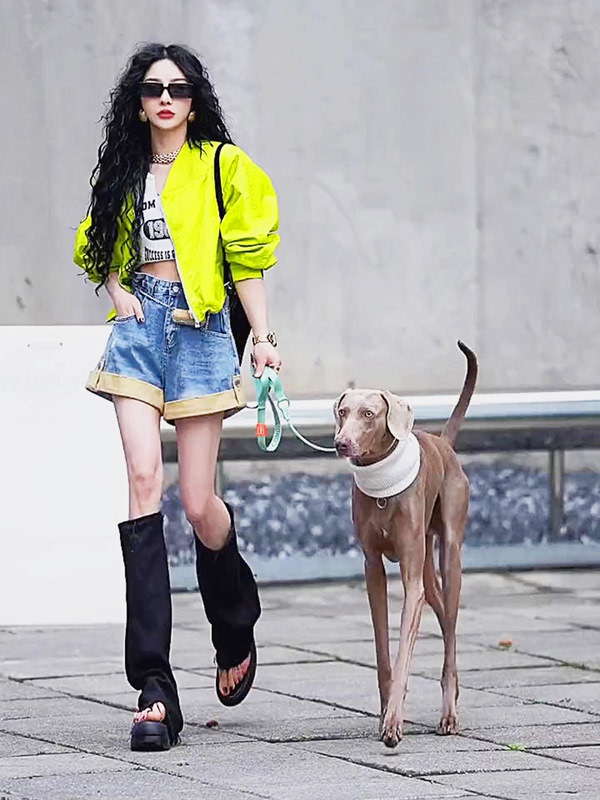 Short, Slim-Fitting, Stand-Up Collar, Long-Sleeved Top, Slimming, Stylish, Unique Design, Fashionable Jacket for Women, 2025 New Style