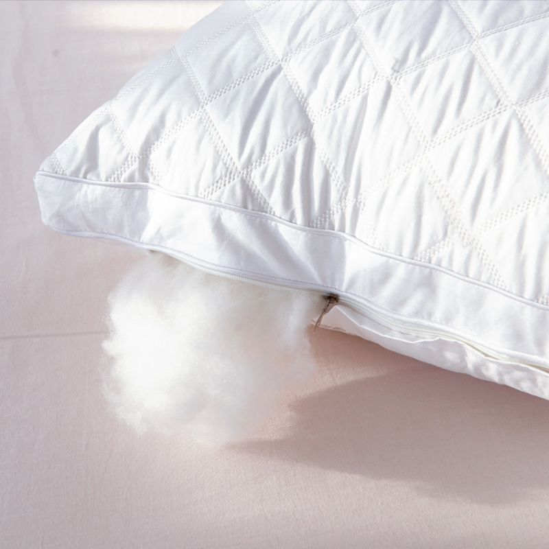 ���ȹ��ʾƵ���ͷWC456466