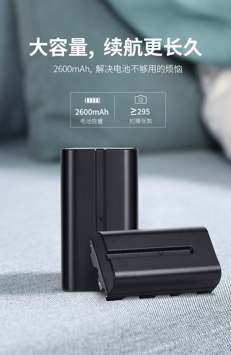 NP-F550 Battery_01.jpg