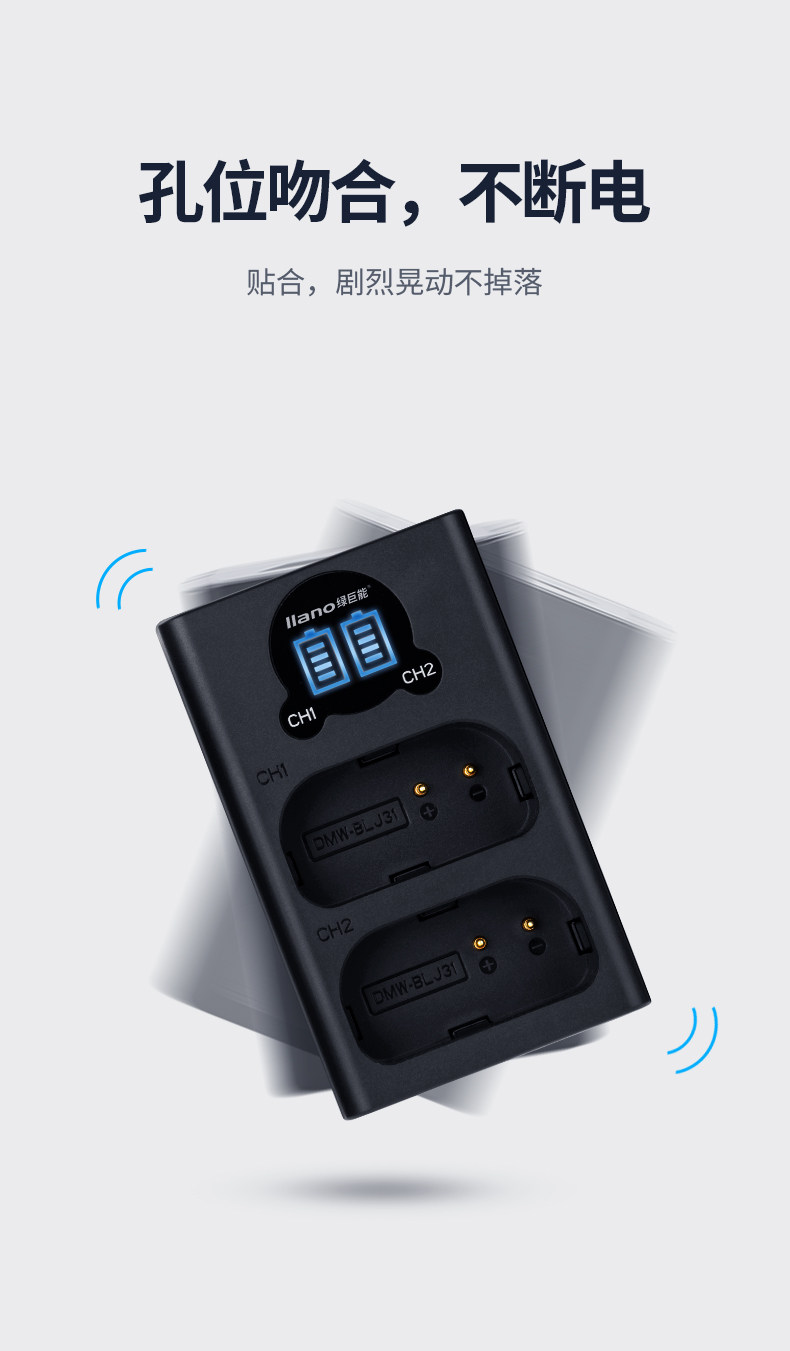 BLJ31 charger_06.jpg