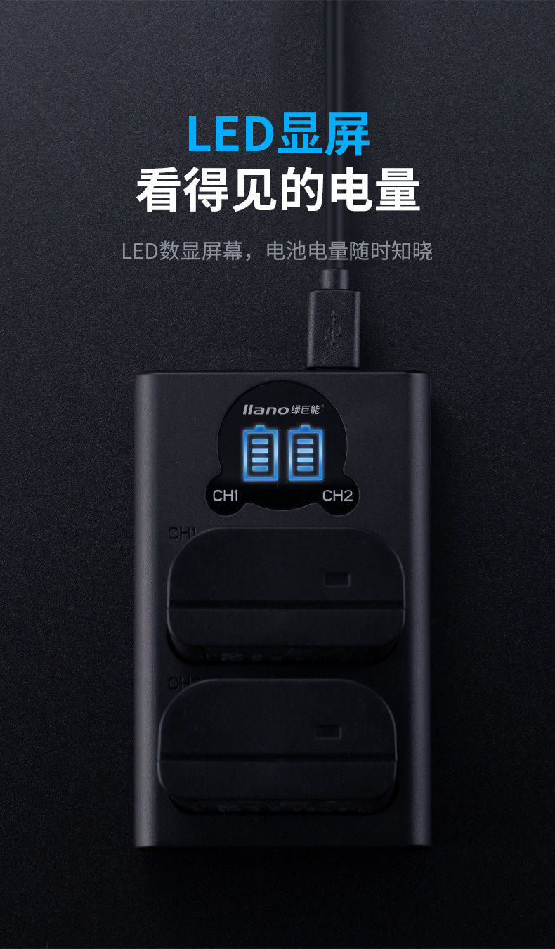 BLJ31 charger_05.jpg