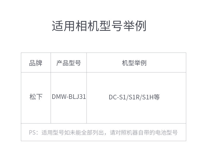 BLJ31 charger_12.jpg