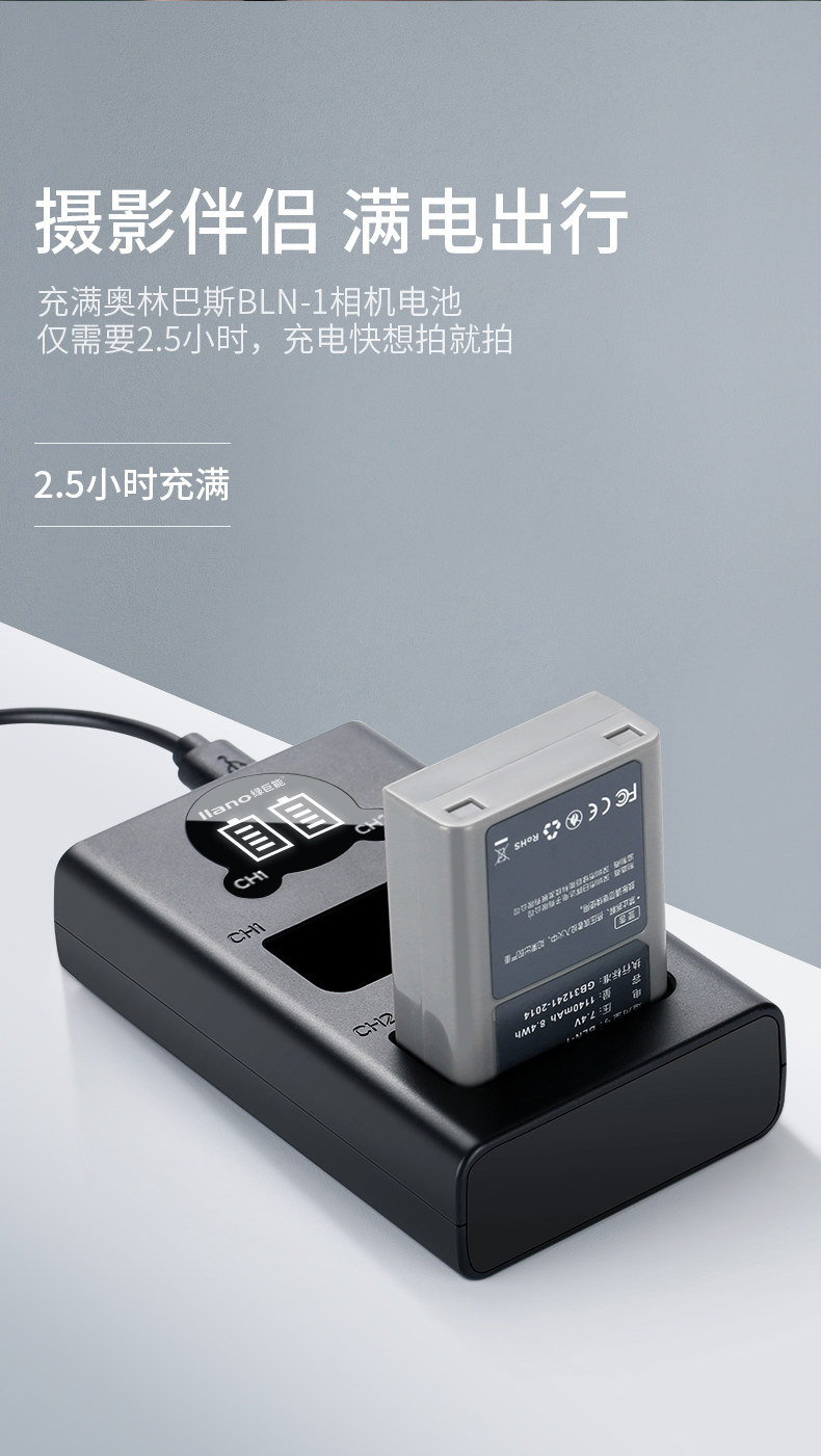 BLN-1 Electric_02.jpg