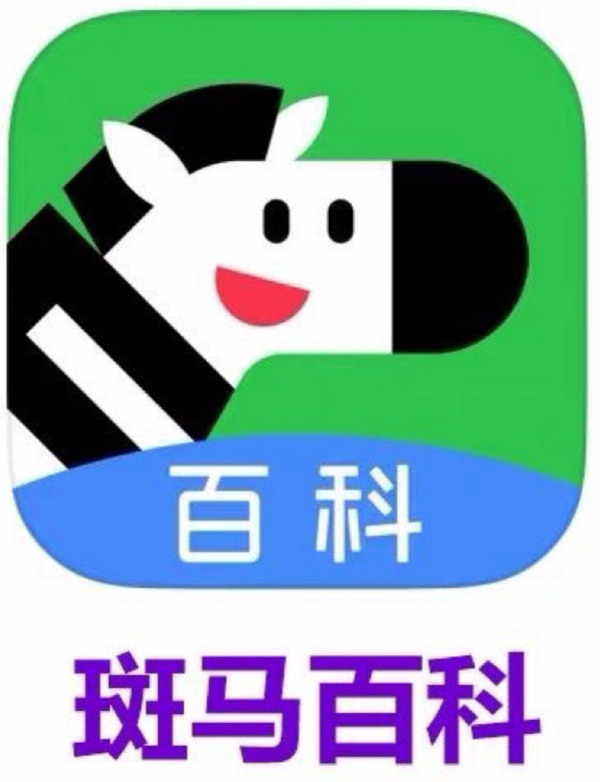斑马教育