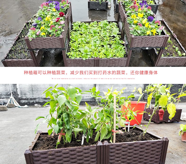陽臺蔬菜種植箱家庭菜園花盆專用特大加深長方形花槽陽臺種菜箱 Yahoo奇摩拍賣