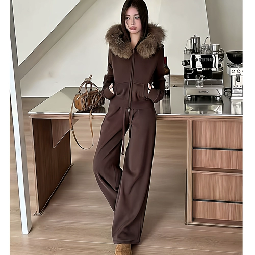 Демисезонная утепленная утепленная толстовка, комплект для отдыха, коричневый ретро спортивный костюм, изысканный стиль, по фигуре