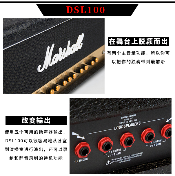 Marshall Marshall Loa DSL Series Box Head Tube 19221936 Hộp giống Rồng sừng - Loa loa loa vi tính bose