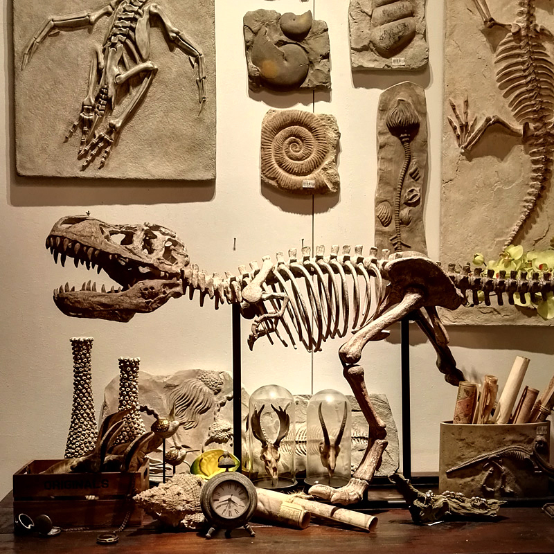 Overlord Dinosaur Simulated Skeleton Fossil Large Home Animal Ornament Window Decoration Resin Craft