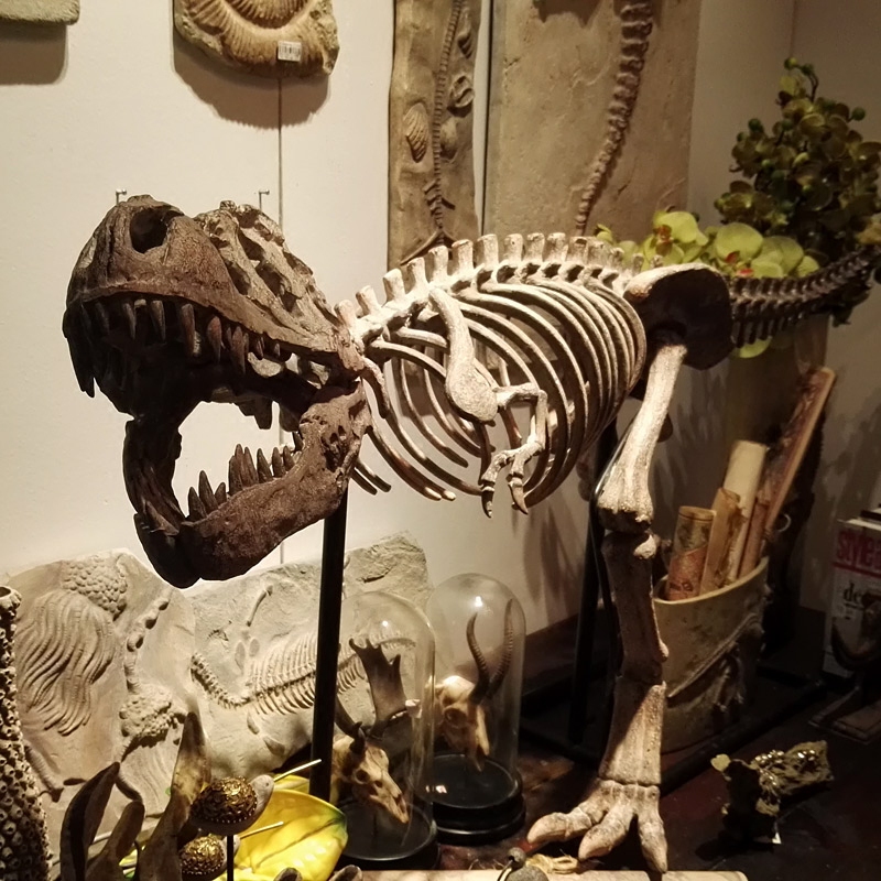 Simulated Tyrannosaurus Rex Dinosaur Fossil Skeleton Ornament Large Floor-Standing Resin Animal Skeleton Window Display Museum Decoration
