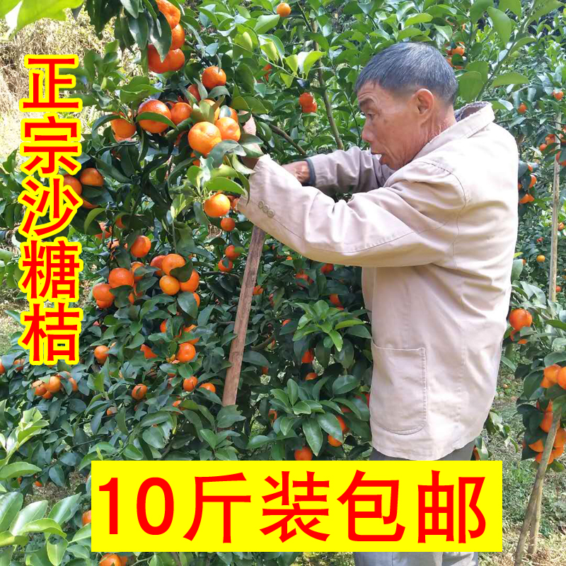 粉丝福利购优惠券10元
