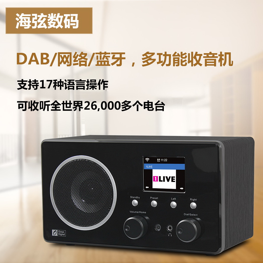 Ocean Digital WR-282CD Semiconductor Elderly Mini Wireless WiFi Network FM Bluetooth Radio