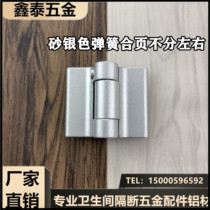 Dinggu sand silver public toilet partition flat door hinge clapboard toilet hardware accessories self-closing spring hinge
