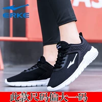 Zhenghei/Zhengbai 3261