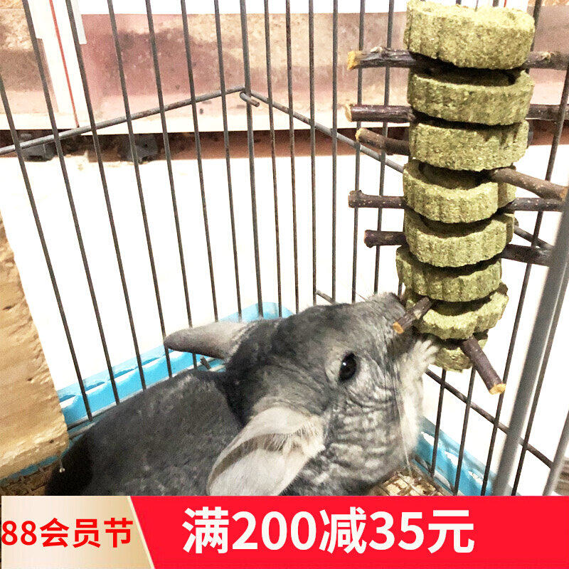 Dragon cat grinding teeth with grass cake grinding