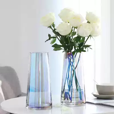Simple modern light luxury glass vase transparent hydroponic flower arrangement bottle Nordic living room dining table home decoration ornaments