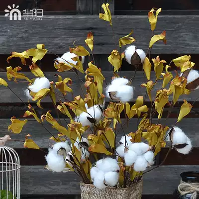 (Mi Yang)Semi-natural cotton twigs immortal flowers dried flowers DIY bouquet real flowers Living room decoration shooting props