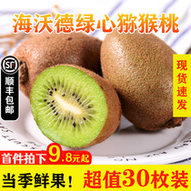  Green heart kiwi Fresh seasonal kiwi big fruit Pure sweet miso monkey peach pregnant woman fruit whole box 10