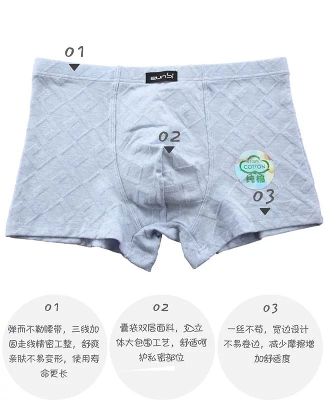 2 hộp cotton đồ lót nam boxer quần rắn màu đơn giản đồ lót nam dưới thoáng khí thanh niên quần short - Nam giới