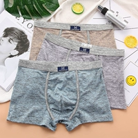 3 tải modal đồ lót nam boxer thể thao eo eo nữ thanh niên gợi cảm quần short nam boxer - Giống cái quần lót nữ cotton thun lạnh cao cấp