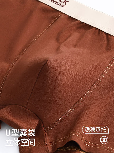 Men's underwear pure cotton 2024 new boys autumn and winter temperature-changing antibacterial crotch boxer shorts teenagers boxer briefs