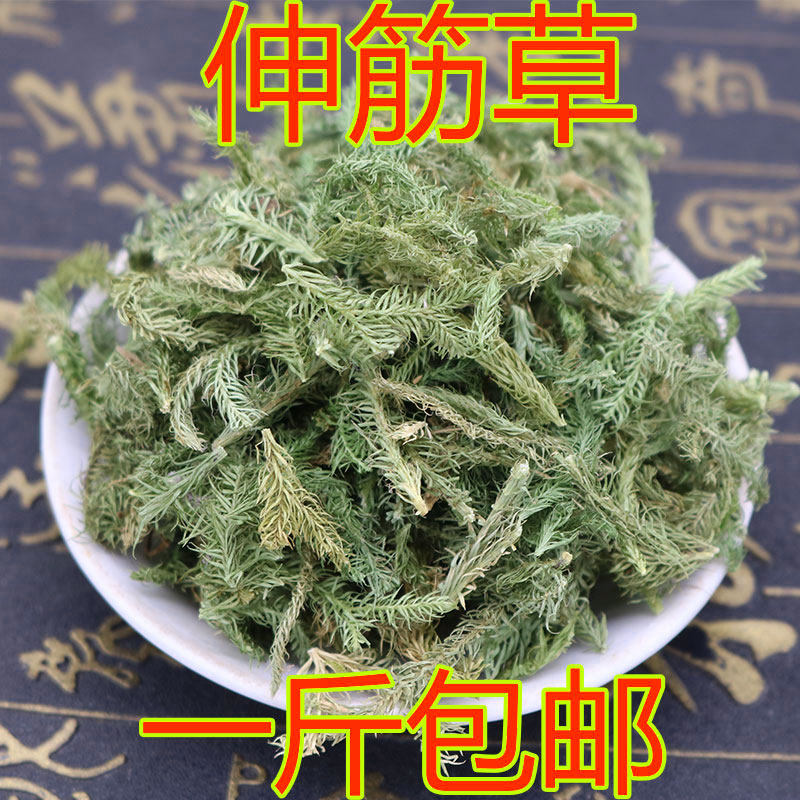 Stretch Fascia 500 gr Sanbao Tea Raw Materials Suitable to Extend Gluten Grass Polygwort for Puzzle Nuts 500 gr
