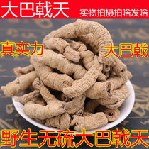 Extraction Core Officinalis Wild Special Class Selected 500g Men Tonic Bubble Wine Can Be Milled to Fit Lock Yang