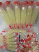 Rosin paste assistant solder paste 223 welding oil 559 small support solder paste 10cc Repair welding oil