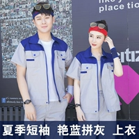 Шангин Синий Нижний Серый Топ