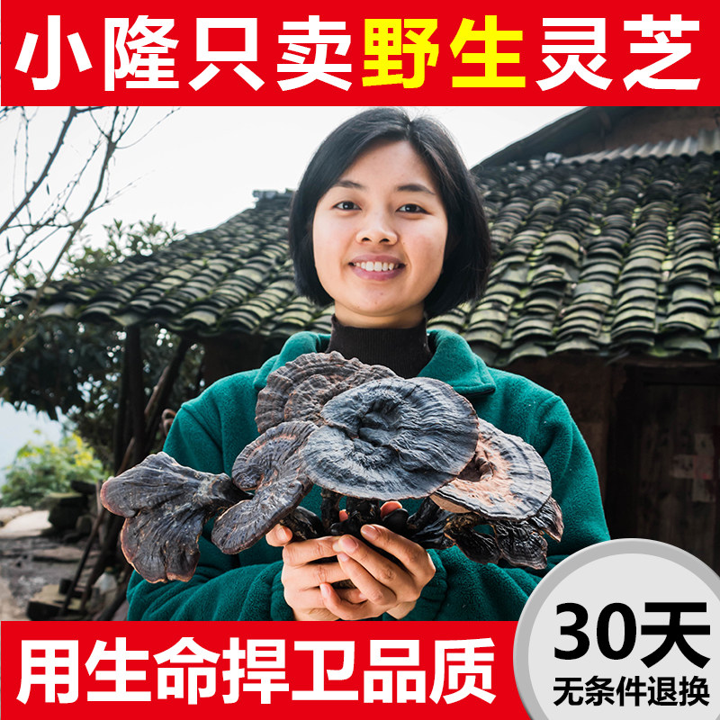 Guizhou pure wild Ganoderma lucidum Purple Ganoderma lucidum Linzhi non-a pound of premium whole branches can be sliced sparkling wine Black Ganoderma lucidum 250g