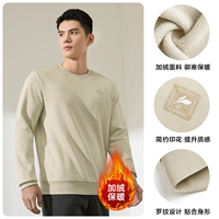 G Модель [добавлен бархат] Clay Color 4804