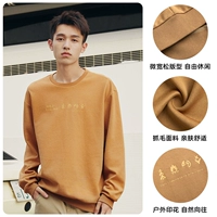 M Модель [захват волос] Чиншилла коричневый 3804