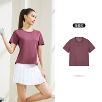 Haixiahong [скорость сухой технологии] 4111