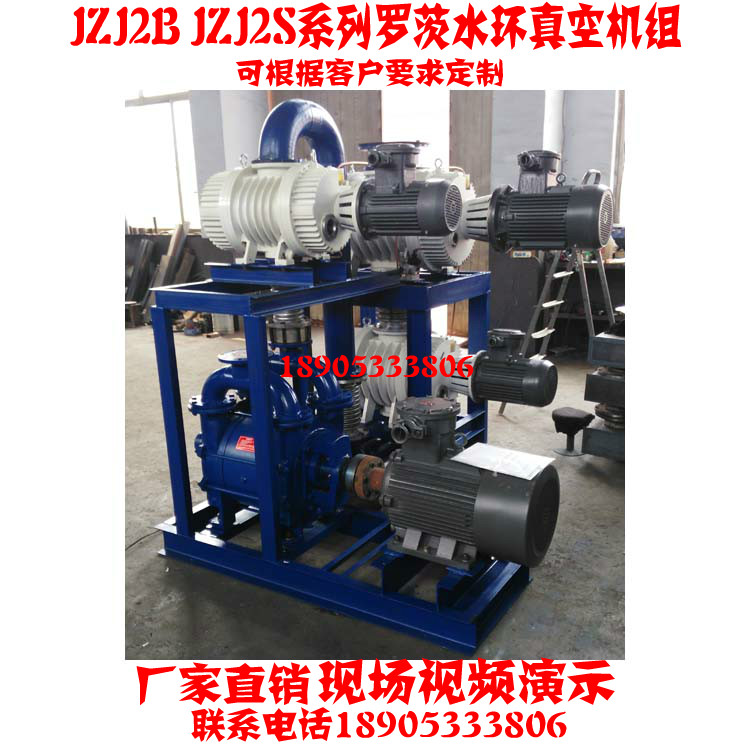 Water Ring Roots Unit Vacuum Pump High Vacuum Water Ring Vacuum Pump Roots Unit Roots Vacuum Pump