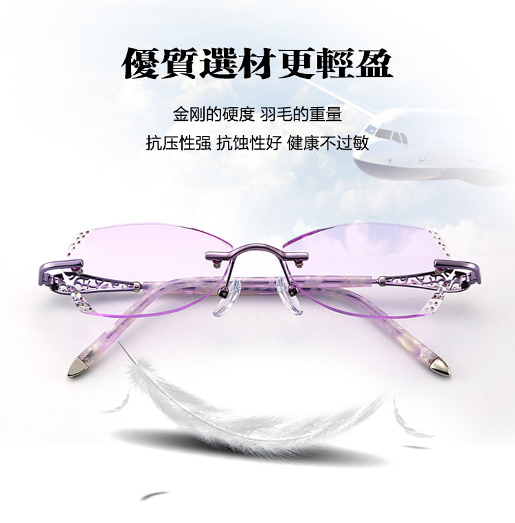 Montures de lunettes en Tole - Ref 3139673 Image 9