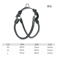 Черная спина