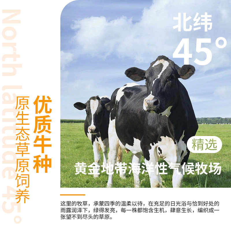 波兰原装进口Mlekovita全脂牛奶：烘焙早餐新宠，纯正风味的秘密武器！