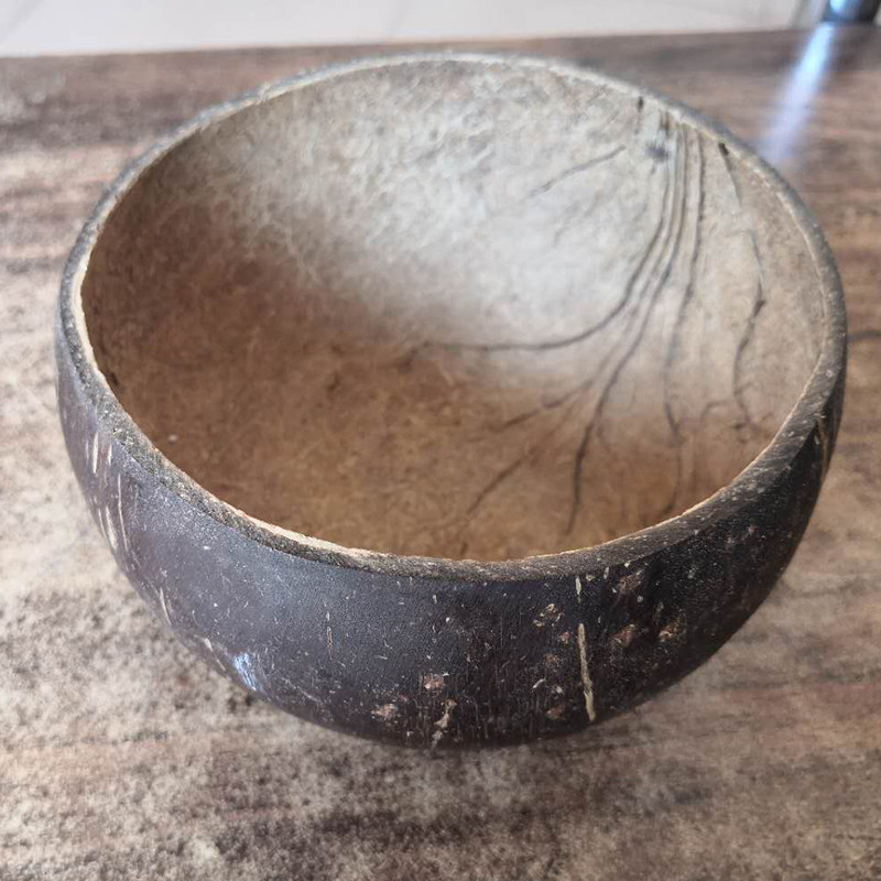 Handmade retro native coconut shell coconut bowl kindergarten extracurricular homework utensils landscape flower garden planting flower tray