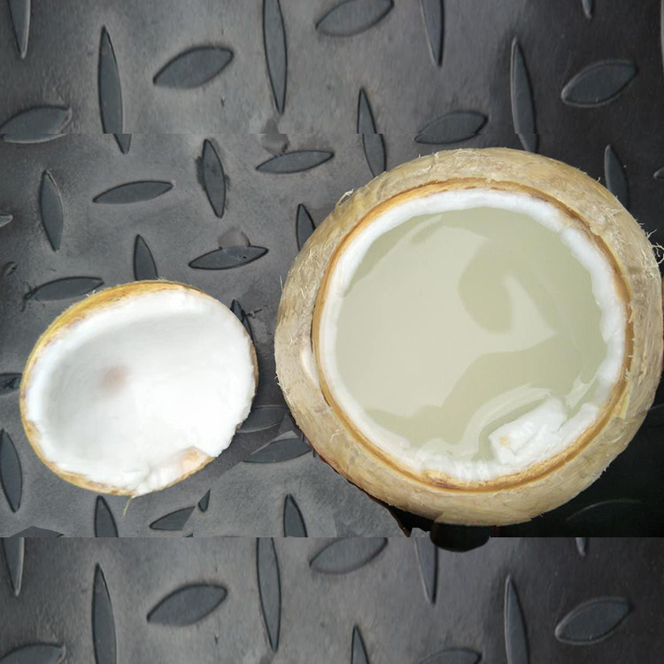 预开口泰国椰皇：椰香浓郁，甜品容器新选择！🥥🌟-椰青-淘宝百科网