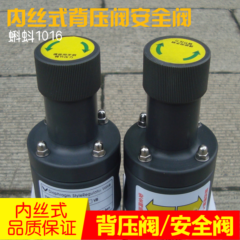 (High Quality) DN15 20 25 Plastic UPVC PP PTFE Back Pressure Valve Safety Valve One-way Pressure Relief Valve