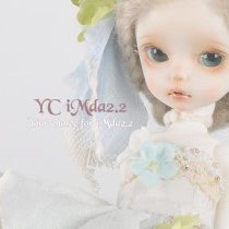 (RSK Wonderland)Official agent imda2 2YC optional bjd Small 6 points