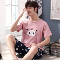 Mens pajamas short sleeve cotton summer teenagers junior high school students cartoon piglets summer cotton home suit