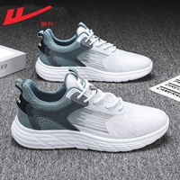 Haze Blue 【Основной фонд картин】