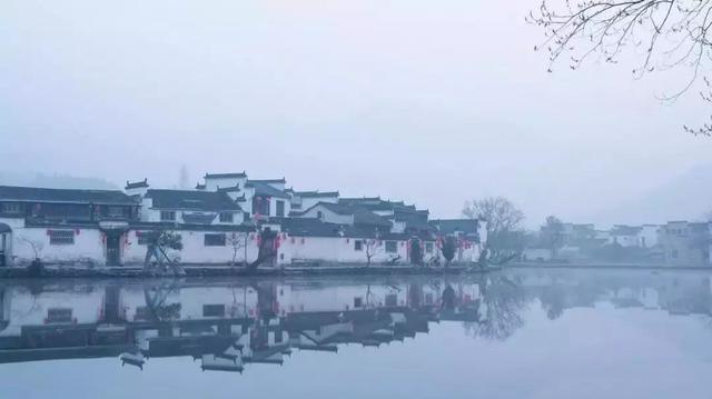 摄影家的天堂网红村，吃阳澄湖大闸蟹86