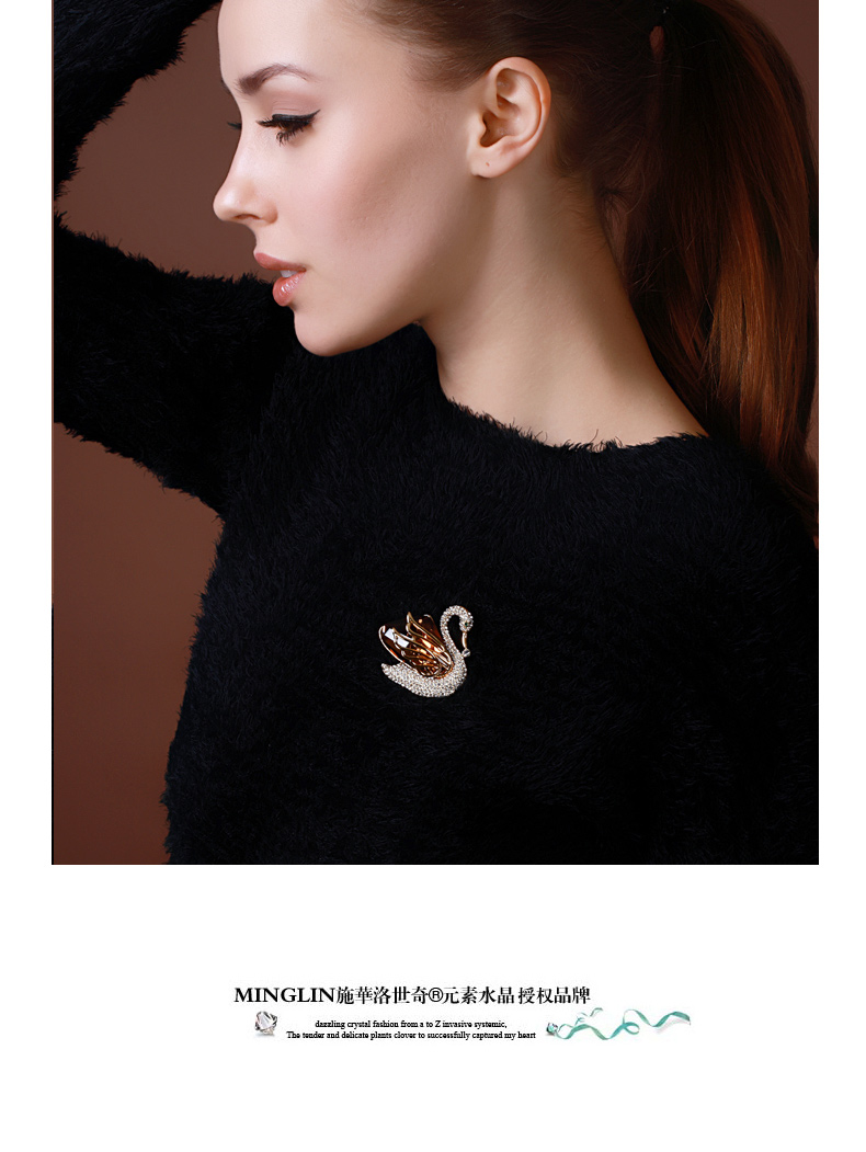 Broche femme en cristal autrichien - Ref 1187769 Image 11
