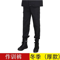 Брюки для тренировок по охране зимние плотные черные