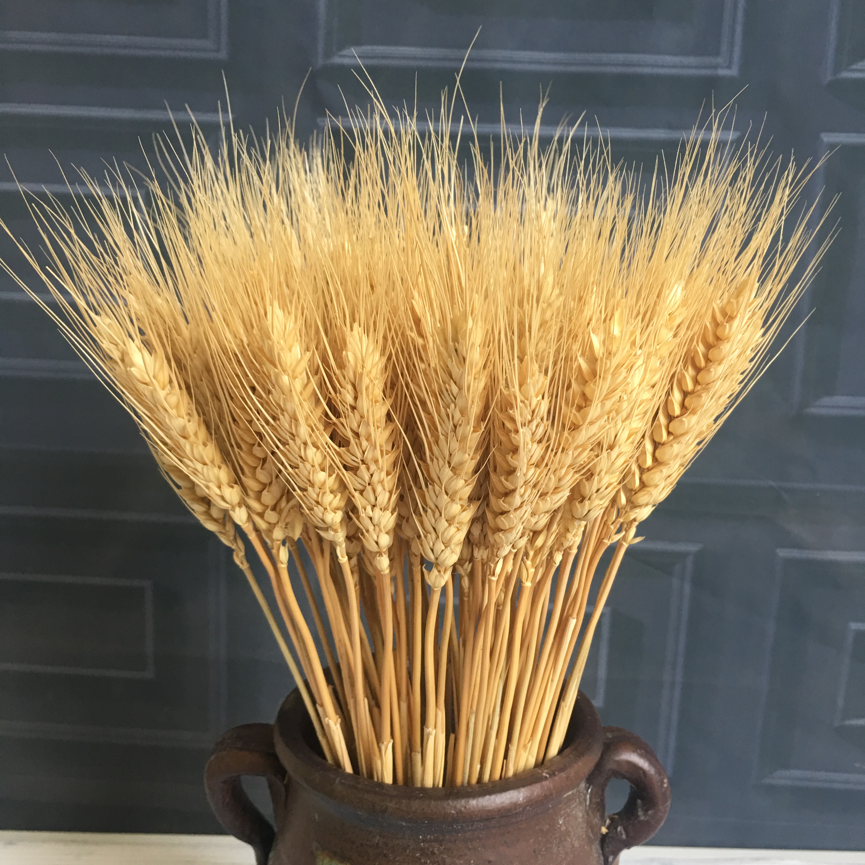 Natural Reed Dried Flowers Really Wheat Dried Flowers Cotton Rice
