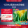 ЖК-телевизор Haier H5C с разрешением 4K, 65 дюймов и частотой 144 Гц, ЖК-телевизор с высокой степенью защиты глаз, первоклассная энергоэффективная бытовая техника, продажа по обмену mini 0